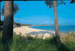 Les Menhirs in Carnac Plage, Brittany Les Menhirs in Carnac Plage, Brittany