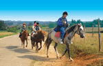 Les Roulottes des Monedieres in Correze, Dordogne