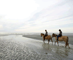 Belle Dune in Fort Mahon Plage, Picardy