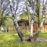 Bluewood Lodges Oxfordshire