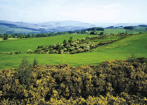 Angecroft Park in Ettrick Valley, Selkirkshire, Borders Scotland