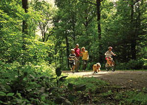 Forest of Dean Lodges in Coleford, Gloucestershire, South West England