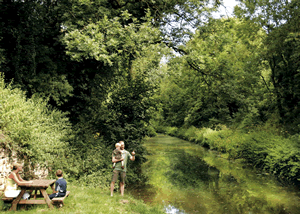 Whipcott Water in Holcombe Rogus, Somerset, South West England