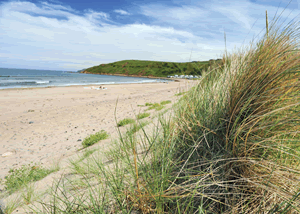 Pease Bay Holiday Park in Dunbar, Berwickshire, Borders Scotland Pease Bay Holiday Park in Dunbar, Berwickshire, Borders Scotland