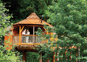 Sherwood Forest Lodges in Edwinstone, Nottinghamshire, Central England