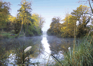 Upton Lakes Lodges in Cullompton, Devon, South West England