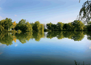 Weybread Lakes Lodges in Weybread, Suffolk, East England