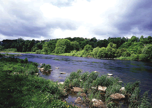 Angecroft Park in Ettrick Valley, Selkirkshire, Borders Scotland