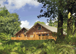 Conifer Lodges in Newton Stewart, Wigtownshire, South West Scotland