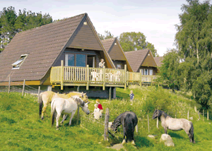 Delny Highland Lodges in Delny, Ross-shire, Highlands Scotland