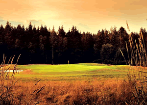 Inchmarlo Country Resort in Banchory, Aberdeenshire, East Scotland