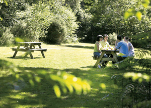 Woodland Lodges in St Clears, Carmarthenshire, South Wales