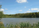 Haveringland Hall Country Park in Cawston, East England