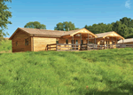 New Forest Lodges in Cranborne, South West England